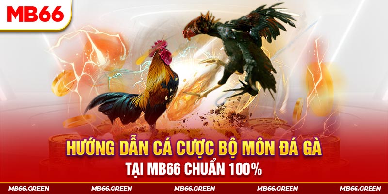 vvvwin6 slot là gi