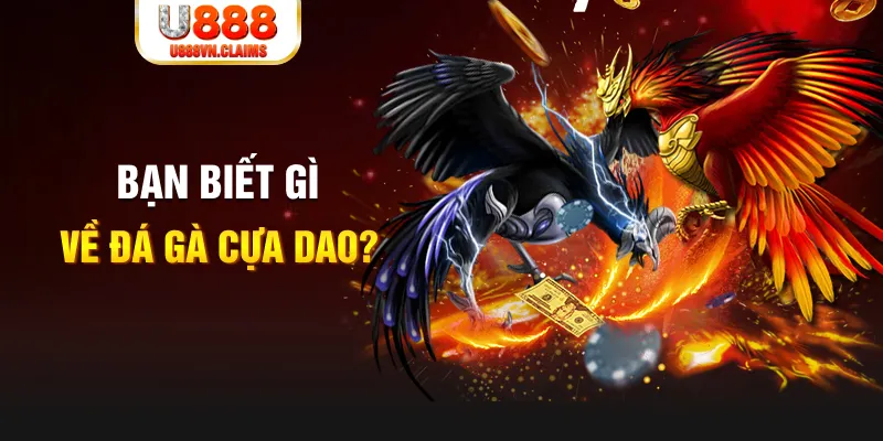 vvvwin6 SW Xổ Số
