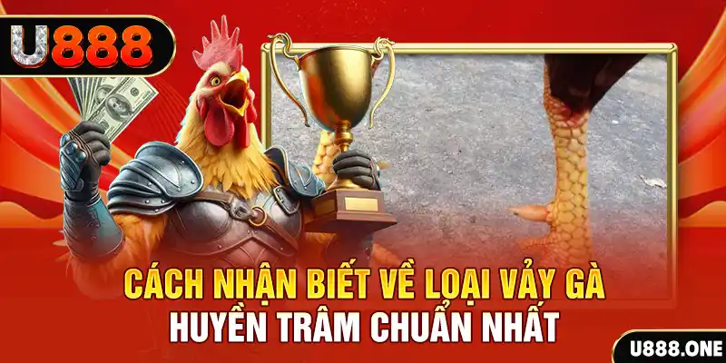 vvvwin6 đăng nhập nổ hũ số 1