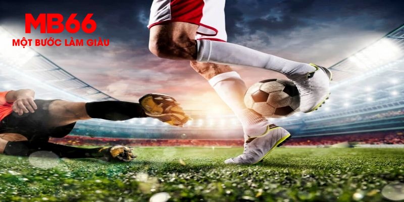 vvvwin6 trực tiếp đá gà thomo