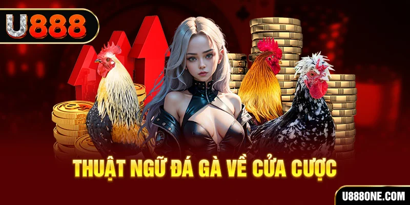 vvvwin6 hơn cả bạn bè