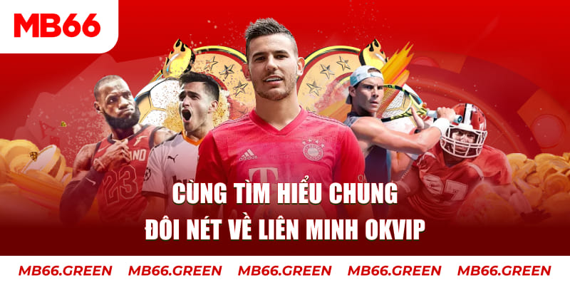 vvvwin6 đá gà trực tiếp bình luận viên