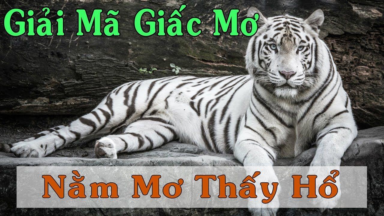 vvvwin6 nổ hũ là game gì