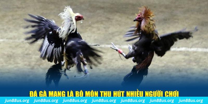 vvvwin6 nổ hủ nghĩa là gì