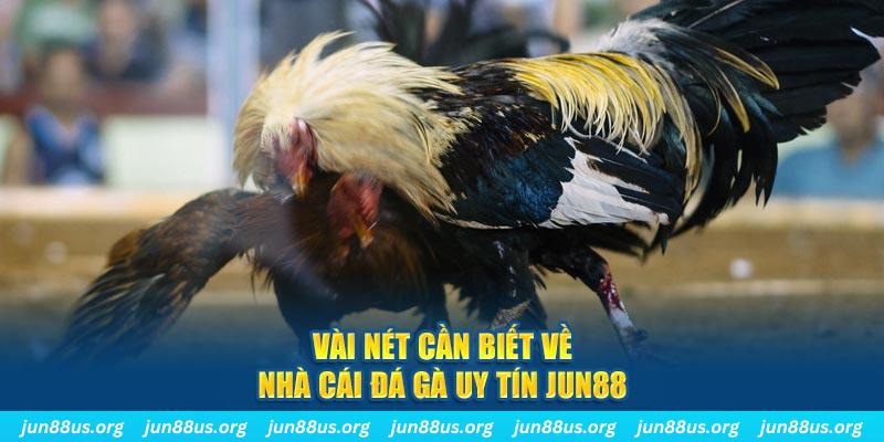 vvvwin6 đăng nhập phỏm khuyến mãi