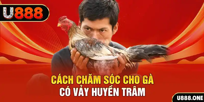 vvvwin6 bắn cá xèng 3