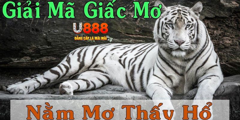 vvvwin6 xổ số miền bắc xổ số miền bắc