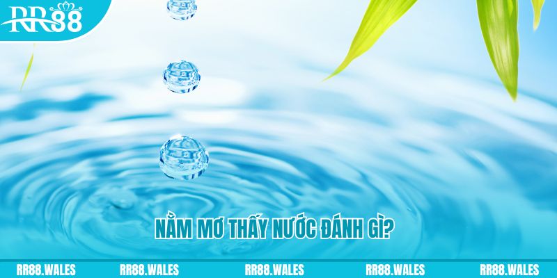 vvvwin6 TCG Xổ Số