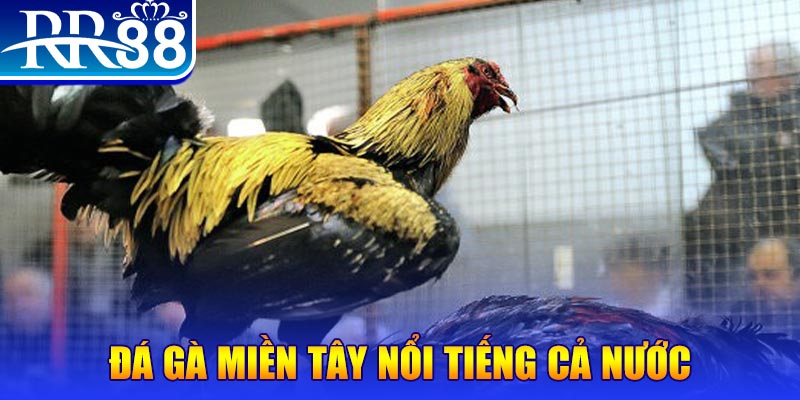 vvvwin6 xổ số đại phát