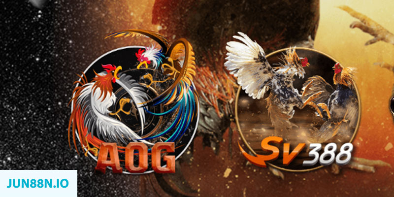 vvvwin6 “natural” trong baccarat nghĩa là gì？