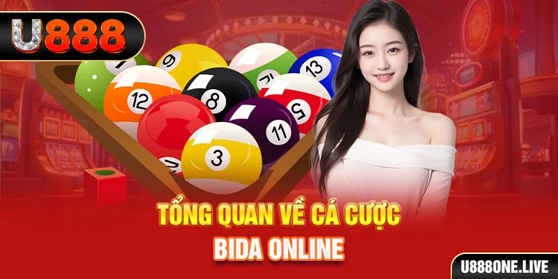 vvvwin6 kết quả xổ số kiến thiết miền bắc