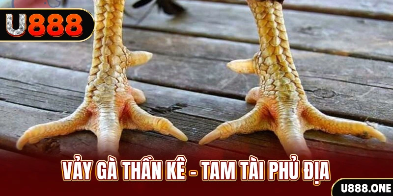 vvvwin6 xổ số miền trung thứ hai hàng tuần