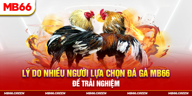 vvvwin6 đăng nhập liêng trực tiếp