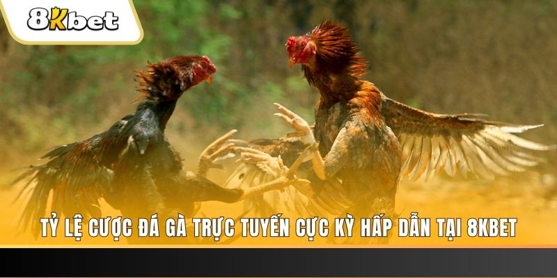 vvvwin6 đăng nhập mậu binh online