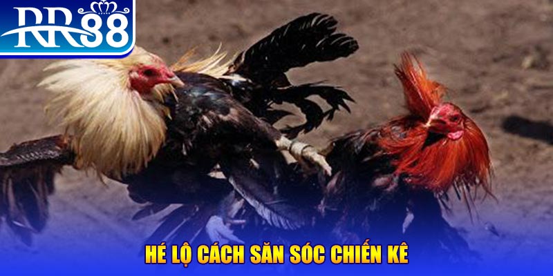 vvvwin6 xổ số miền trung thứ tư