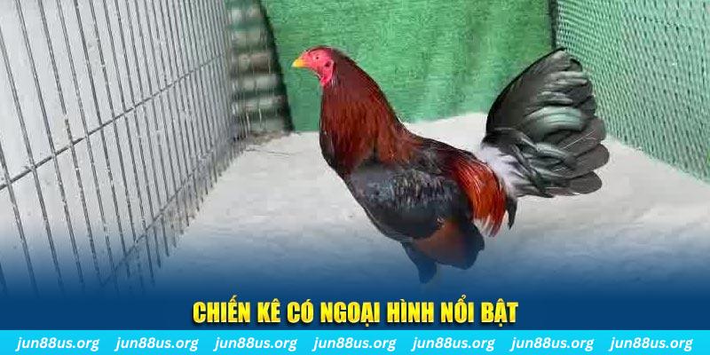 game bắn cá
