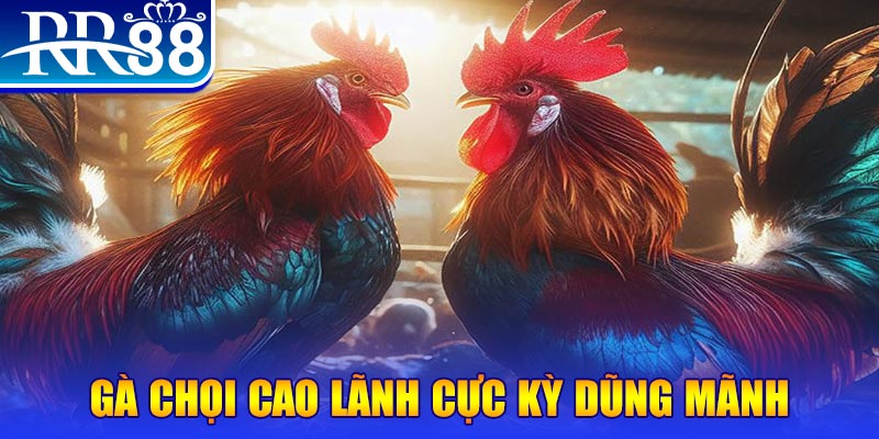 vvvwin6 HB Điện Tử