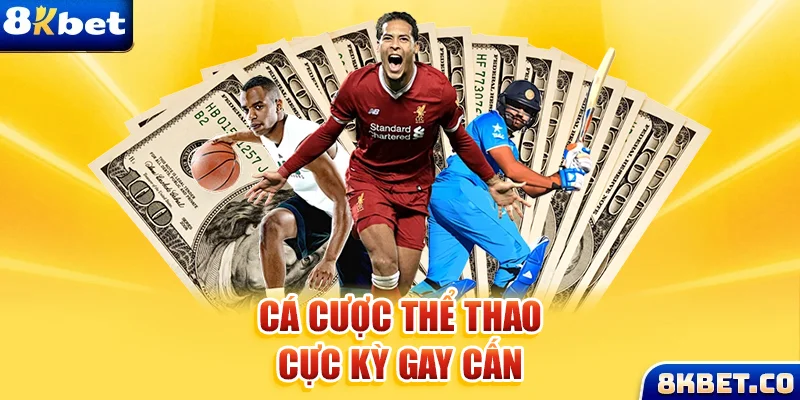 vvvwin6 xem đá gà trực tiếp